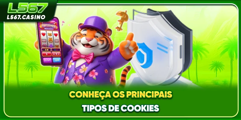 Conheça os principais tipos de Cookies